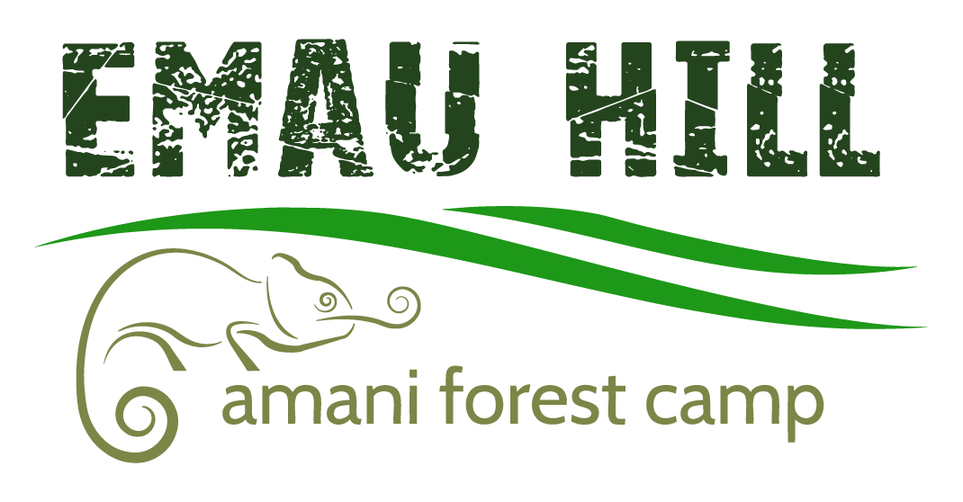 Amani Forest Camp - Emau Hill